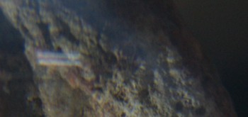 2017-01-08 13-44-46 (4).JPG