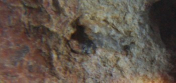 2017-01-08 13-44-46 (5).JPG