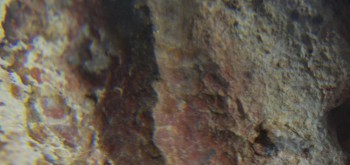 2017-01-08 13-44-46 (6).JPG