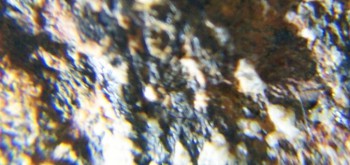 2017-02-07 08-00-00 (2).JPG