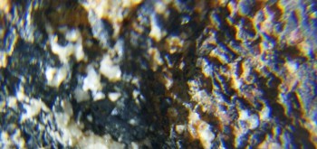 2017-02-07 08-01-20 (2).JPG