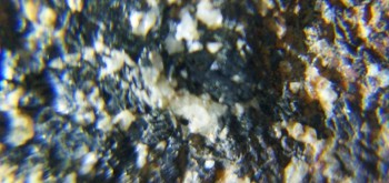 2017-02-07 08-01-20 (3).JPG