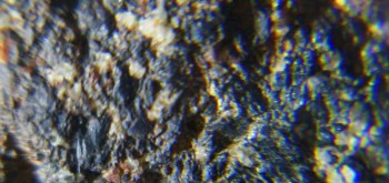 2017-02-07 08-01-42 (2).JPG