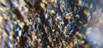 2017-02-07 08-02-22 (2).JPG