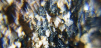 2017-02-07 08-02-42 (2).JPG