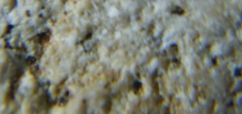 2017-02-07 08-03-52 (3).JPG