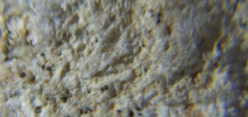 2017-02-07 08-04-22 (2).JPG