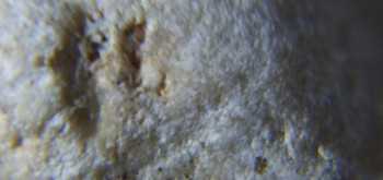 2017-02-07 08-04-52 (2).JPG