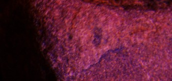 2017-02-07 08-05-12 (2).JPG