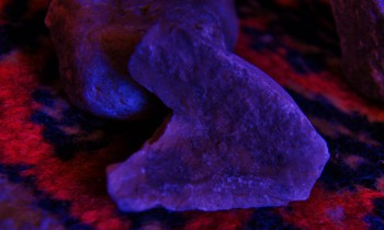 2017-02-07 08-05-12 (3).JPG