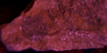 2017-02-07 08-05-12 (4).JPG