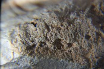 2016-11-30 15-25-44.JPG