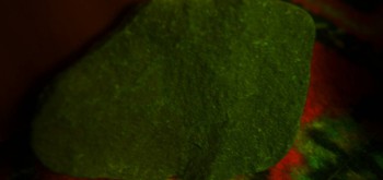 2017-02-07 08-06-52 (2).JPG