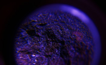 2017-02-07 08-07-28 (2).JPG