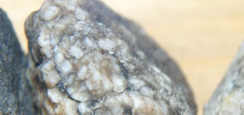 2017-01-11 06-13-34 (3).JPG