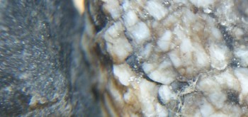 2017-01-11 06-13-34 (5).JPG