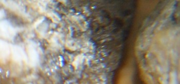 2017-01-11 06-14-02 (2).JPG