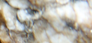 2017-01-11 06-14-02 (3).JPG