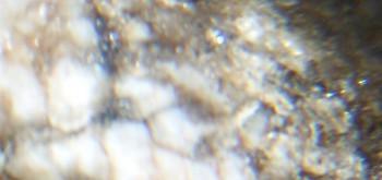 2017-01-11 06-14-02 (4).JPG