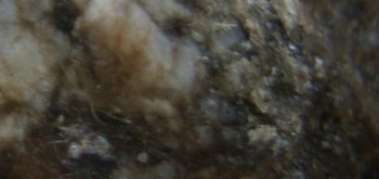 2017-01-11 06-14-12 (2).JPG