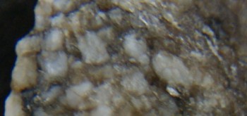 2017-01-11 06-14-12 (3).JPG