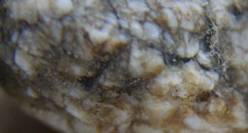 2017-01-11 06-14-38 (2).JPG