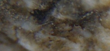 2017-01-11 06-14-38 (3).JPG