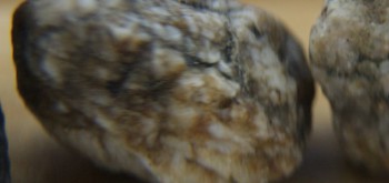 2017-01-11 06-14-46 (2).JPG