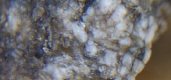 2017-01-11 06-15-20 (2).JPG