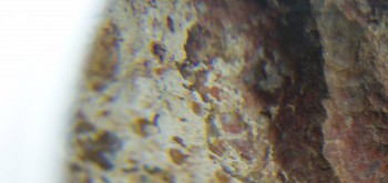 2017-01-08 13-44-46 (7).JPG