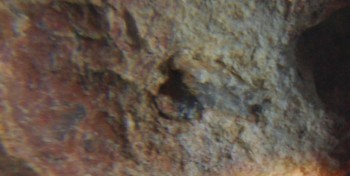 2017-01-08 13-44-46 (8).JPG