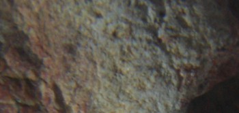 2017-01-08 13-44-46 (9).JPG