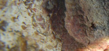 2017-01-08 13-44-46 (10).JPG