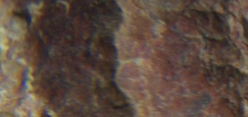 2017-01-08 13-44-46 (12).JPG