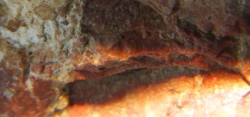 2017-01-08 13-44-58 (2).JPG