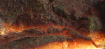 2017-01-08 13-44-58 (3).JPG