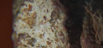 2017-01-08 13-44-58 (4).JPG