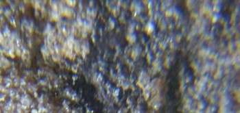 2017-02-07 08-10-44 (2).JPG