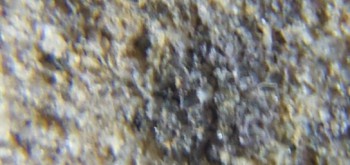 2017-02-07 08-11-00 (2).JPG