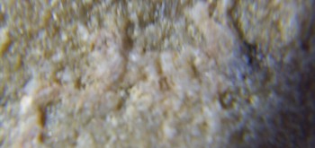 2017-02-07 08-11-44 (2).JPG