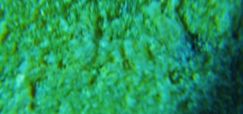 2017-02-07 08-11-44 (3).JPG