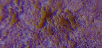 2017-02-07 08-12-34 (2).JPG