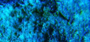 2017-02-07 08-12-34 (3).JPG