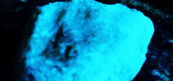 2017-02-07 08-12-48 (2).JPG