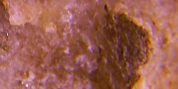 2017-02-07 08-13-08 (2).JPG