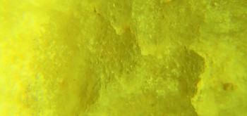 2017-02-07 08-13-08 (3).JPG