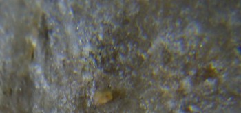 2017-02-07 08-13-08 (4).JPG