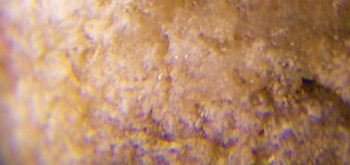 2017-02-07 08-13-08 (5).JPG