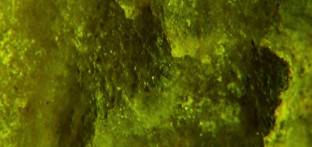 2017-02-07 08-13-08 (6).JPG