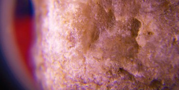 2017-02-07 08-13-08 (7).JPG